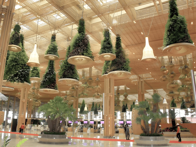 Lighting Bengaluru’s Green Oasis: Kempegowda Airport’s T2 by Ideaaz